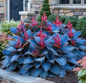 Хоста Грин Фог купить по цене от 669р. в интернет-магазине «Посадика» с доставкой почтой в в Апатитые и по всей России – [изображение №1].