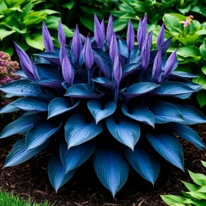 Хоста Сикрет Гров купить по цене от 570р. в интернет-магазине «Посадика» с доставкой почтой в в Апатитые и по всей России – [изображение №1].