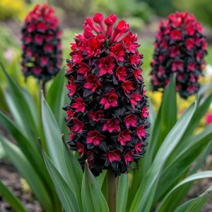 Гиацинт Джем Стоун купить по цене от 2099р. в интернет-магазине «Посадика» с доставкой почтой в в Апатитые и по всей России – [изображение №1].