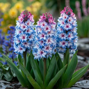 Гиацинт Пинк Мари купить по цене от 2099р. в интернет-магазине «Посадика» с доставкой почтой в в Апатитые и по всей России – [изображение №1].