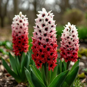 Гиацинт Скай Гарден купить по цене от 2099р. в интернет-магазине «Посадика» с доставкой почтой в в Апатитые и по всей России – [изображение №1].